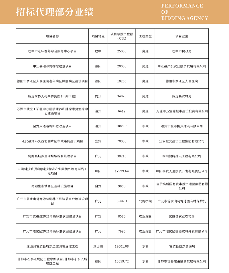 招标代理部分工程项目